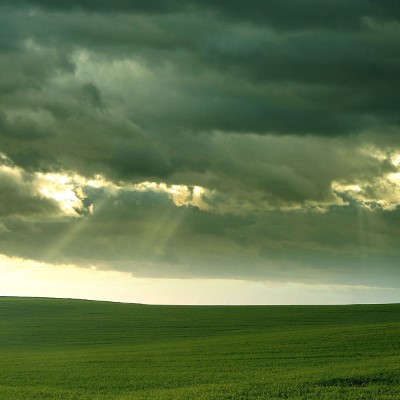 1920 x 1080 HD Wallpapers 1215